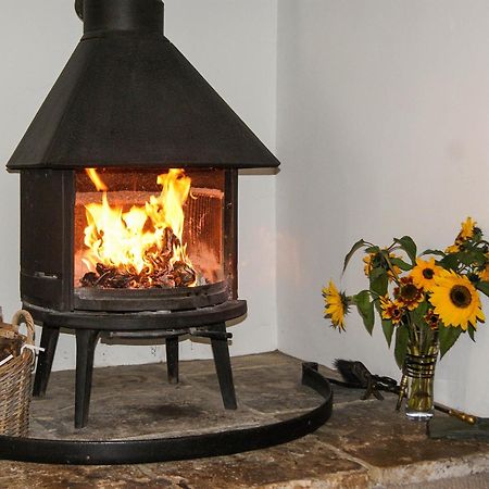 Old Orchard Cottage Haydon Экстерьер фото